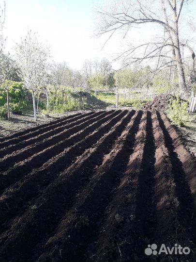 Вспашка земли