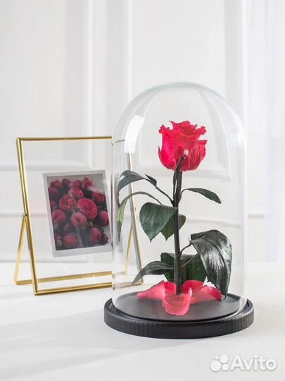 Вечная роза в колбе