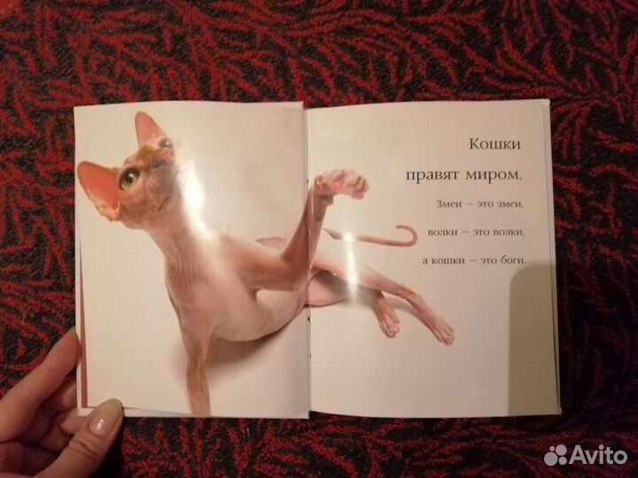 Книги про кошек
