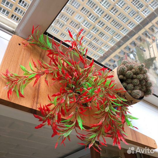 Растения для аквариума пластик