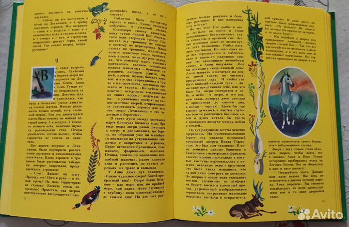 Книга. Анни Маннинен