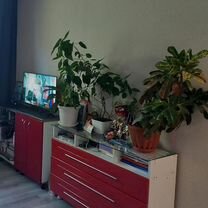 1-к. квартира, 28,8 м², 5/5 эт.