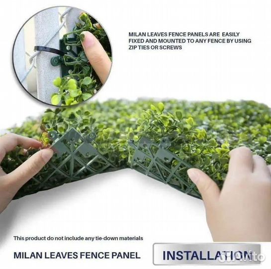 Декоративая зелень