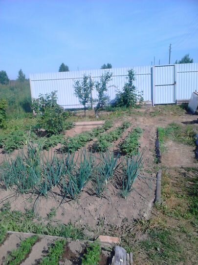 Дом 45 м² на участке 17 сот.