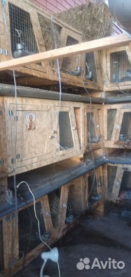 Изготовление новых клеток для кроликов на заказ