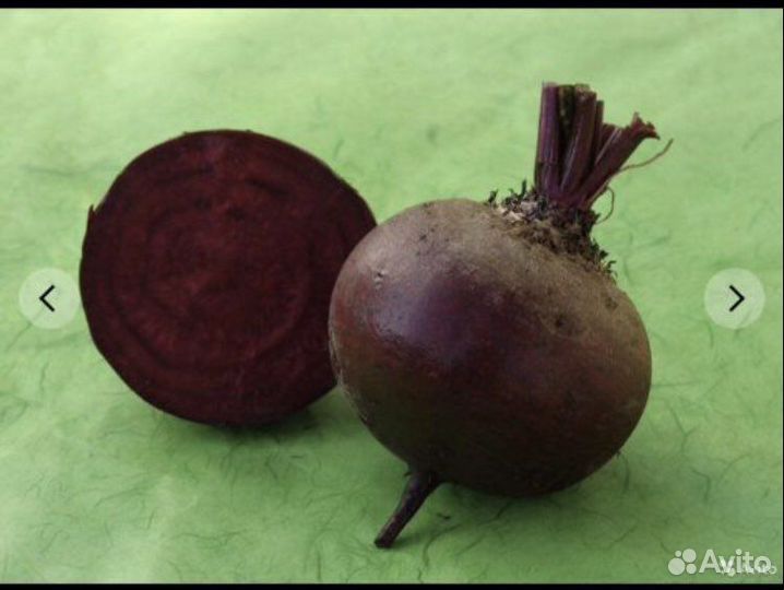 Семена свеклы Бона