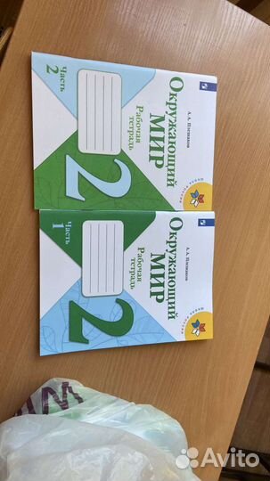 Рабочие тетради 2 класс окружающий мир 2части