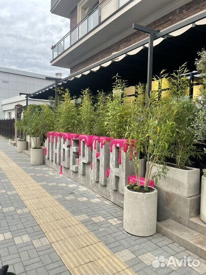 Хостес в ресторан