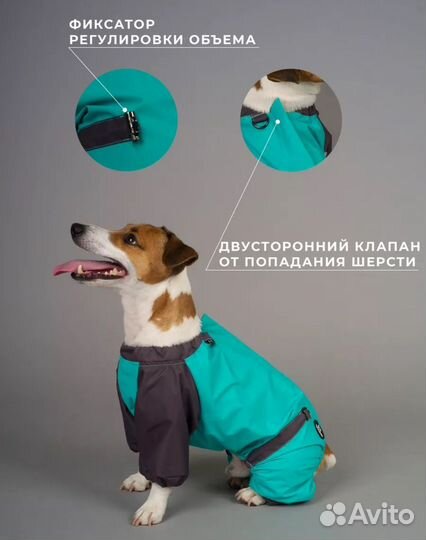 Одежда для собак