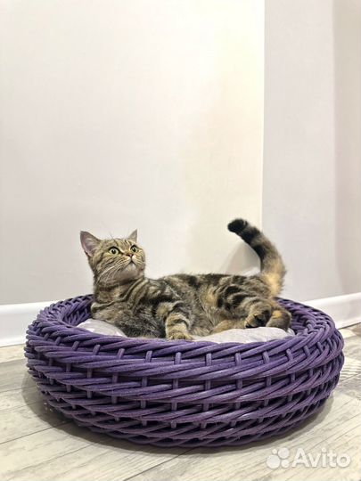 Лежанка для животных