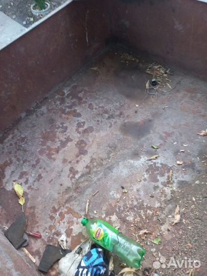 Моторолер муровей