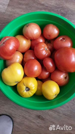 Помидоры