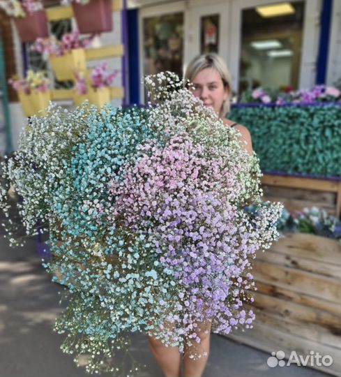 Гипсофила букет цветы