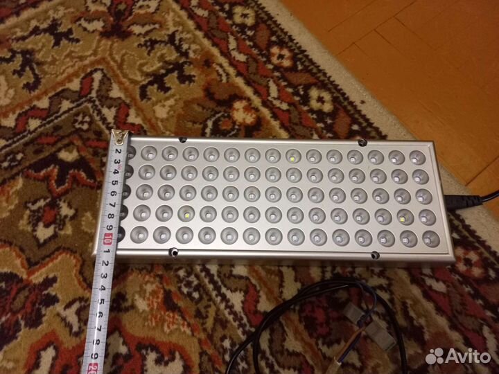 Фито прожектор