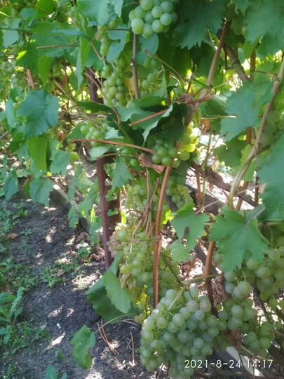 Дача 30 м² на участке 7,2 сот.