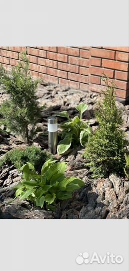 Мульча, сосновая кора,кора сосны,декор