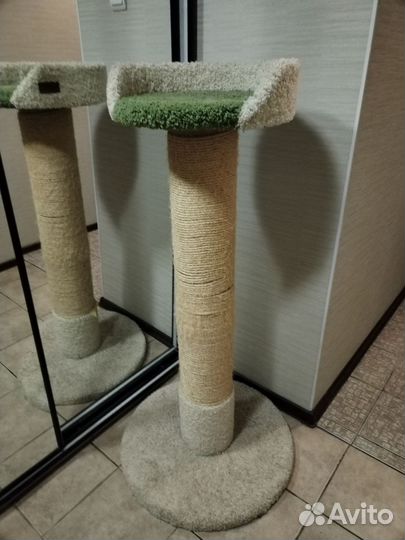 Когтеточка Saival