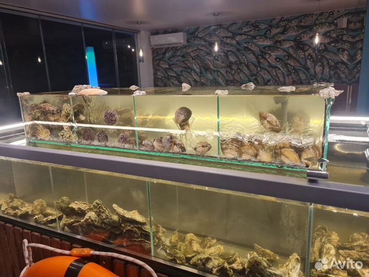 Аквариум для морепродуктов