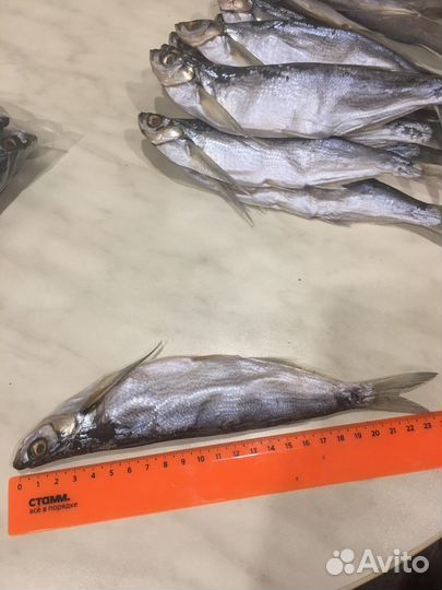 Чехонь сушенная