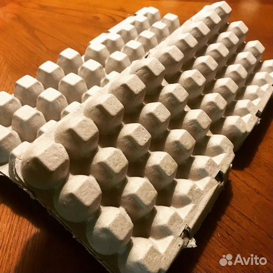 100шт Лотки для яиц перепелов