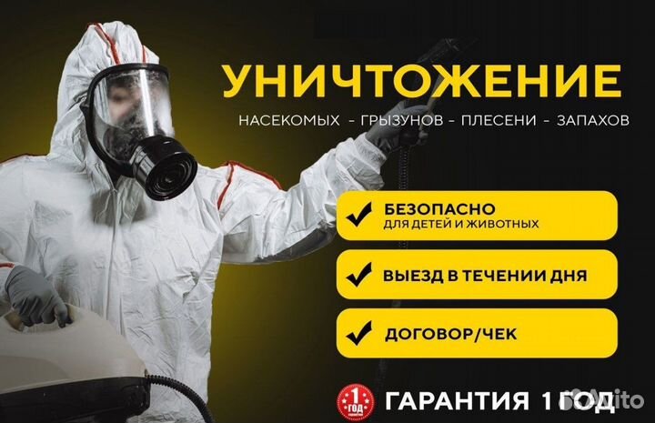 Уничтожение клопов тараканов блох грызунов плесени