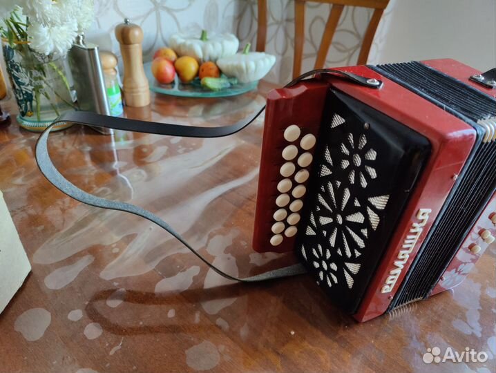 Гармонь детская Ромашка