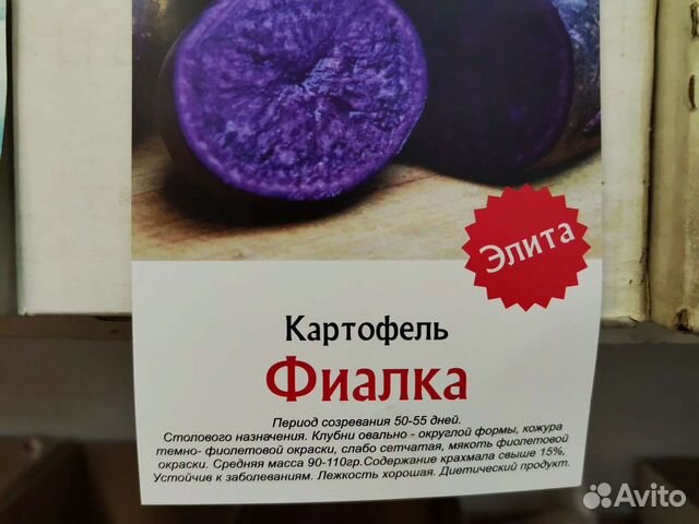 Семенной Картофель с синей мякотью купить в Санкт-Петербурге | Товары ...