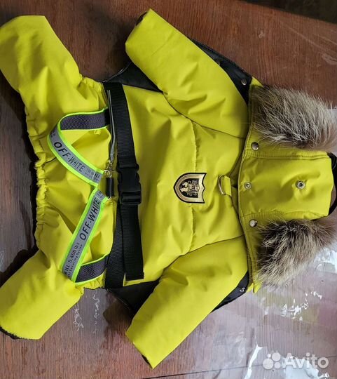 Одежда для собак