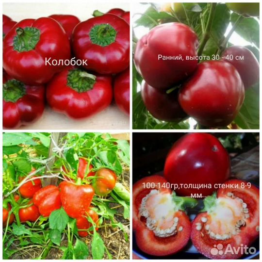 Семена сладкого перца