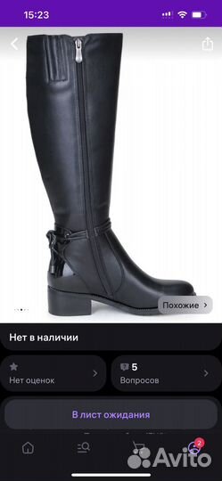 Сапоги демисезонные