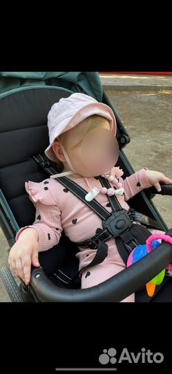 Коляска carello bravo plus 2023