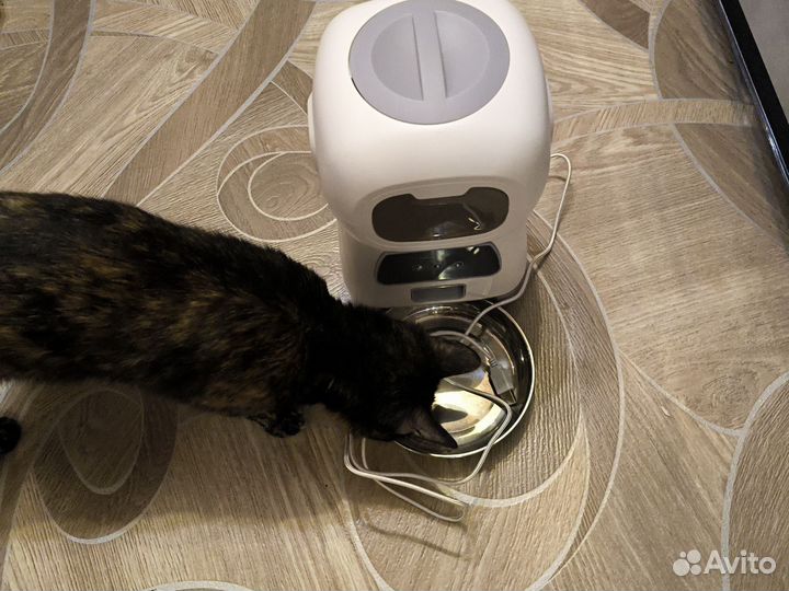 Автоматическая кормушка для кошек