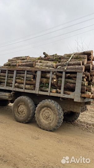 Дрова дуб, граб, ясень