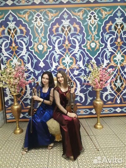 Скрипка на праздник