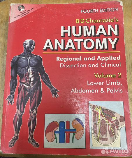 B D Chourasia,s Human Anatomy