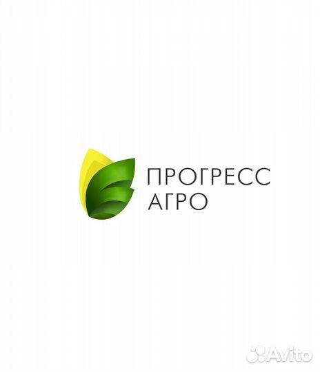 Главный технолог молцеха