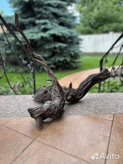 Коряги мангровые для аквариума/террариума