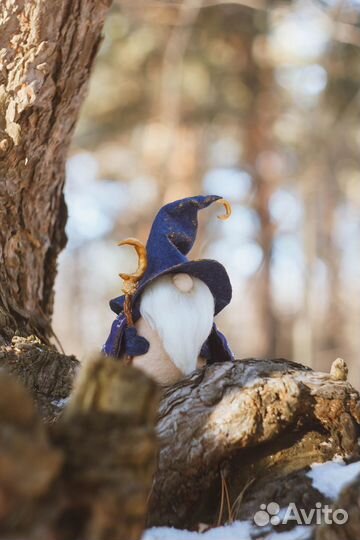 Скандинавский гном Звездочёт