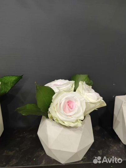 Стабилизированные цветы