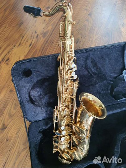 Саксофон альт Roy Benson AS 201