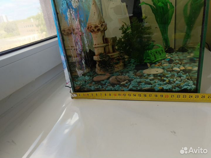 Аквариум с рыбками