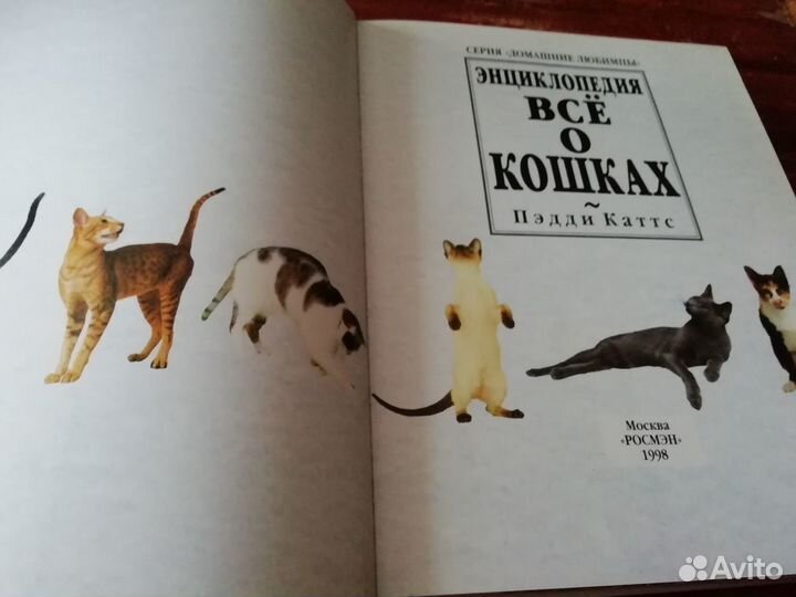 Всё о кошках. Энциклопедия. Пэдди Каттс
