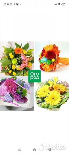 Букет к 1 сентября