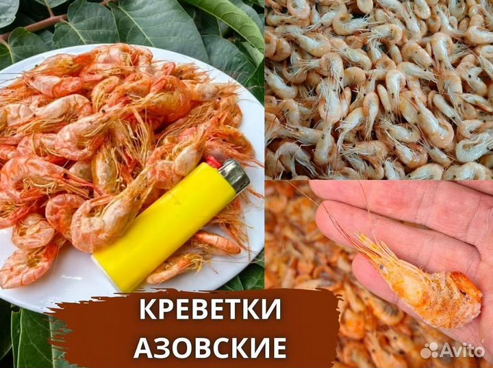 Креветка азовская