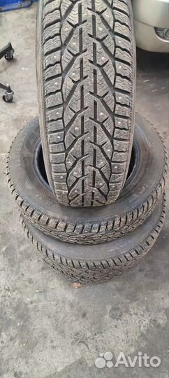 Tigar Winter 195/65 R15