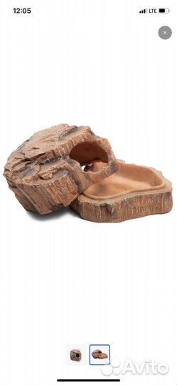 Влажная камера для рептилий