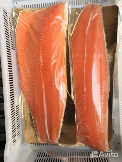 Форель Живая опт и розница