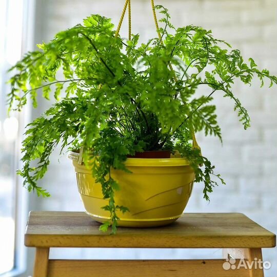 Кашпо подвесное