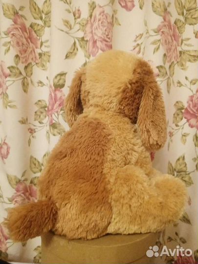 Собака, чебурашка