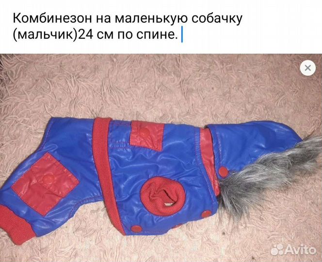 Комбинезон на маленькую собаку
